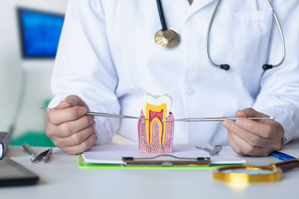 Best Emergency Tooth Extraction in Winchester, TN